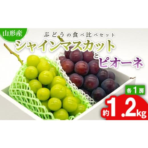 ふるさと納税 ぶどう マスカット 山形県 山形市 ぶどうの食べ比べセット シャインマスカットとピオーネ 約1.2kg(各1房) 秀品 期間限定 令和8年産先行予約 FS…