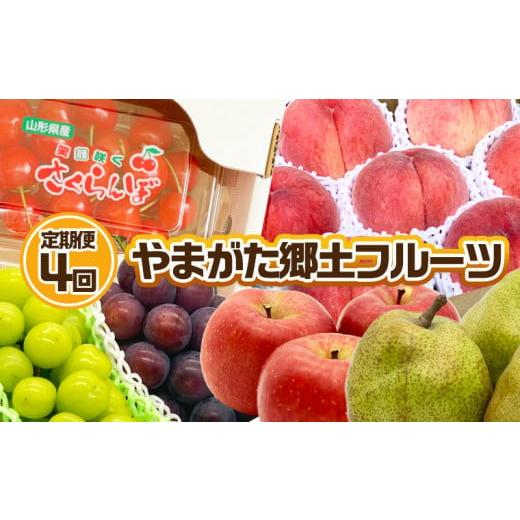 ふるさと納税 山形県 山形市 【定期便4回】やまがた 郷土フルーツ定期便 佐藤錦・やわらかめ白桃・シャインマスカットとピオーネ・りんごとラ・フランス 【令…｜furusatochoice｜02