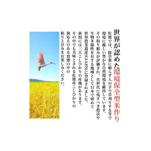 ふるさと納税 米 コシヒカリ 新潟県 -  FOOD SHIFTセレクション入賞 佐渡地区産コシヒカリ そのまんま真空パック 900g×12袋セットの画像