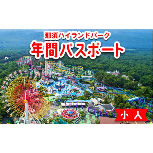 ふるさと納税 栃木県 那須町 那須ハイランドパーク年間パスポート（小人）〔P-79〕※着日指定不可 