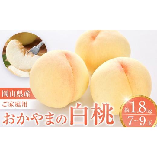 ふるさと納税 もも 岡山県 - おかやまの白桃1.8kg 7〜9玉（ご家庭用） 数量限定300セット 岡山 もも 桃 白桃 果物 フルーツ 甘い おいしい 人気 おすすめ 岡山…の画像
