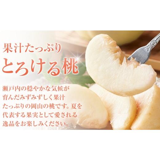 ふるさと納税 もも 岡山県 - おかやまの白桃1.8kg 7〜9玉（ご家庭用） 数量限定300セット 岡山 もも 桃 白桃 果物 フルーツ 甘い おいしい 人気 おすすめ 岡山…の画像