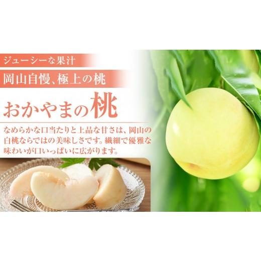 ふるさと納税 もも 岡山県 - おかやまの白桃1.8kg 7〜9玉（ご家庭用） 数量限定300セット 岡山 もも 桃 白桃 果物 フルーツ 甘い おいしい 人気 おすすめ 岡山…の画像