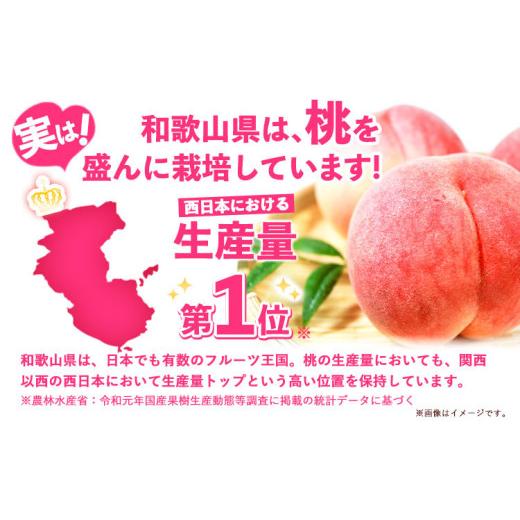 ふるさと納税 もも 和歌山県 紀の川市 とれたて桃 旬の桃をお届け 約2kg 原農園《2026年6月中旬-8月下旬頃出荷》 和歌山県 紀の川市 果物 フルーツ 桃 もも モ…_3