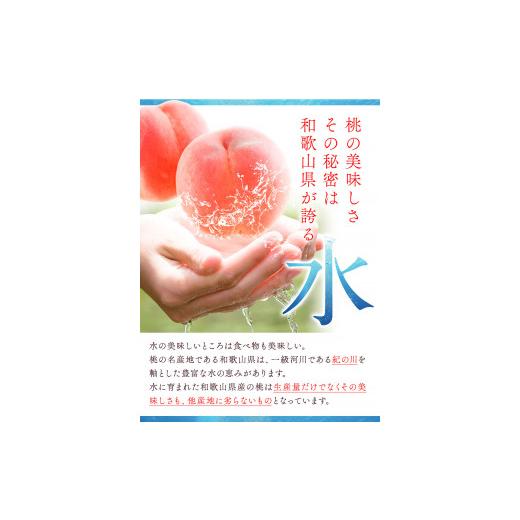 ふるさと納税 もも 和歌山県 紀の川市 とれたて桃 旬の桃をお届け 約2kg 原農園《2026年6月中旬-8月下旬頃出荷》 和歌山県 紀の川市 果物 フルーツ 桃 もも モ…_5