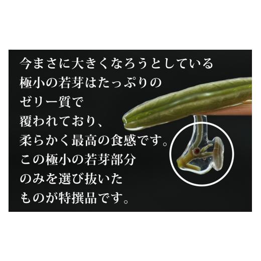 ふるさと納税 山菜・きのこ 秋田県 三種町 特選生じゅんさい200g ゆずタレ1個 《冷蔵》（2026年5月上旬頃〜7月下旬までに発送予定）_3