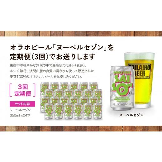ふるさと納税 ビール 地ビール 長野県 東御市  3回定期便 クラフトビール「ヌーベルセゾン」24本｜オラホビール 地ビール_2