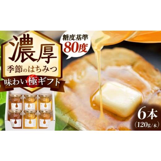 ふるさと納税 加工品等 はちみつ 岐阜県 瑞浪市 東美濃厳選 季節のはちみつ 味わい極ギフト 120g×6本 瑞浪市 ／ 堀養蜂園 おまかせ 蜂蜜 国産 AZCF003_1