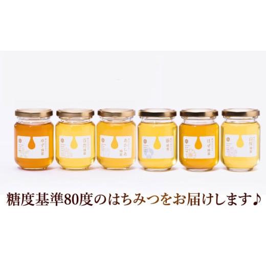 ふるさと納税 加工品等 はちみつ 岐阜県 瑞浪市 東美濃厳選 季節のはちみつ 味わい極ギフト 120g×6本 瑞浪市 ／ 堀養蜂園 おまかせ 蜂蜜 国産 AZCF003_2