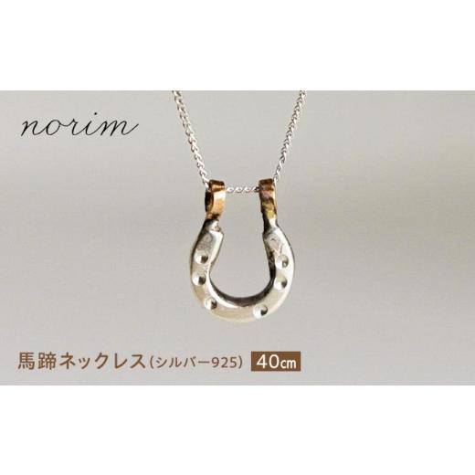 ふるさと納税 アクセサリー ネックレス 滋賀県 栗東市 馬蹄ネックレス
