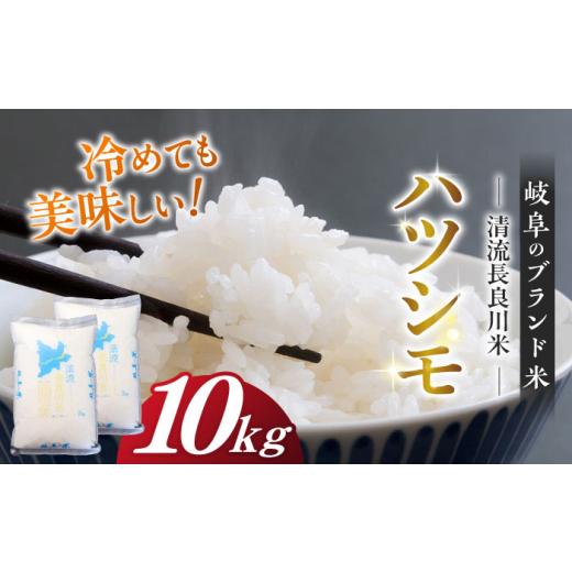 ふるさと納税 米 岐阜県 岐阜市 ＼キャンペーン対象/ R7年産 岐阜ハツシモ 10kg 名水100選に選ばれた長良川中流の水で育った「清流長良川米」 ハツシモ はし…