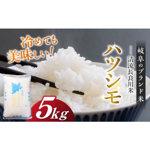ふるさと納税 米 岐阜県 岐阜市 ＼キャンペーン対象/ R7年産 岐阜ハツシモ 5kg 名水100選に選ばれた長良川中流の水で育った「清流長良川米」 ハツシモ はしつ…