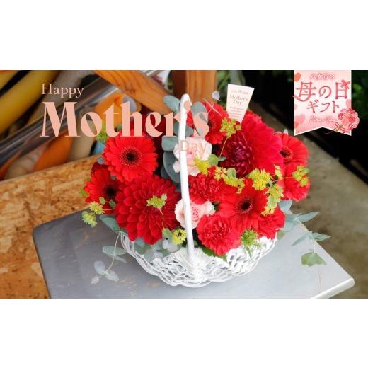ふるさと納税 雑貨・日用品 花 福岡県 八女市 「母の日ギフト」八女のお花を使ったカゴアレンジメント(赤系) 配送不可:北海道・沖縄・離島 花 お花 フラワー…