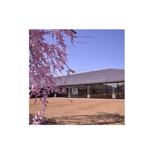 【新版】 ふるさと納税 富山県 - 富山県水墨美術館友の会の個人特別会員プレミアムコース(1年分)【1397094】 【GMS9140994620】(32200円)