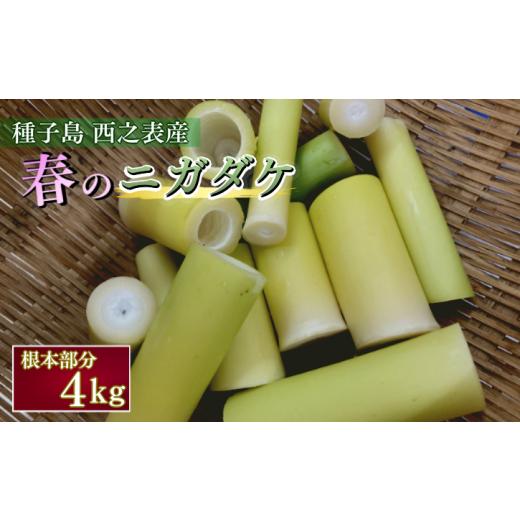 ふるさと納税 野菜類 山菜 鹿児島県 西之表市  5月〜6月 先行予約 種子島 産 ニガダケ (根本部分のみ) 4kg NFN499 250pt 筍 美味しい タケノコ 春 特産品 特…の画像
