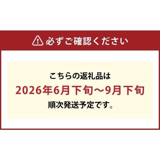 ふるさと納税 もも 岡山県 倉敷市 もっとも旬な品種の桃をお届け 岡山の桃 2kg 2026年6月下旬〜9月下旬 発送予定 桃 人気フルーツ 人気桃 おすすめフルーツ 岡…の画像