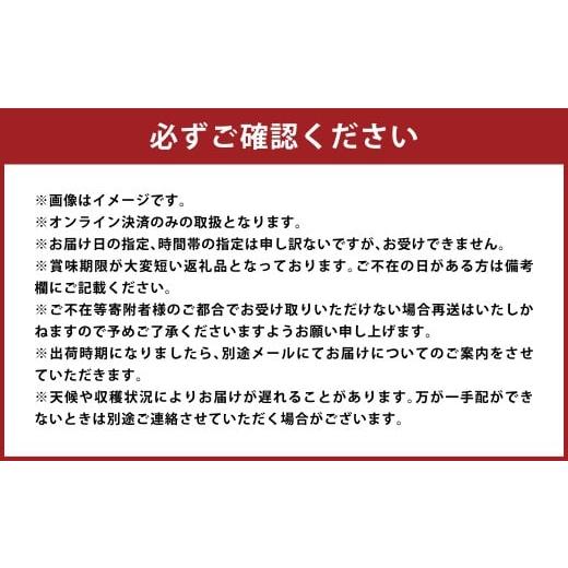 ふるさと納税 もも 岡山県 倉敷市 もっとも旬な品種の桃をお届け 岡山の桃 2kg 2026年6月下旬〜9月下旬 発送予定 桃 人気フルーツ 人気桃 おすすめフルーツ 岡…の画像