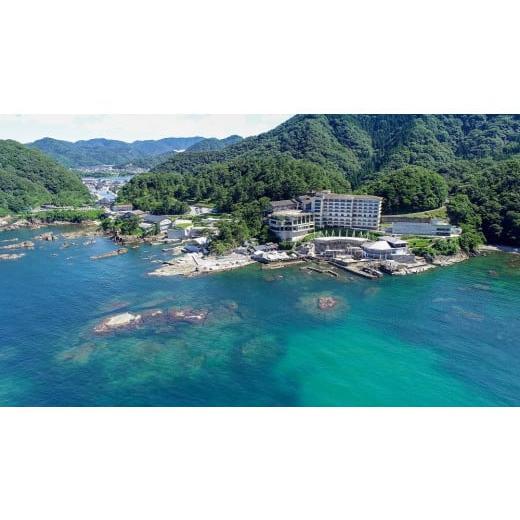 [大特価] ふるさと納税 兵庫県 豊岡市 ホテル金波楼 ペア宿泊券（マリンワールド満喫プラン） 【1873619420】(66000円)