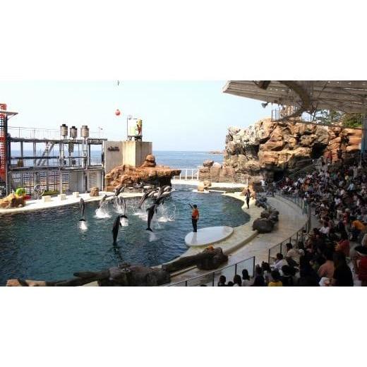 [大特価] ふるさと納税 兵庫県 豊岡市 ホテル金波楼 ペア宿泊券（マリンワールド満喫プラン） 【1873619420】(66000円)