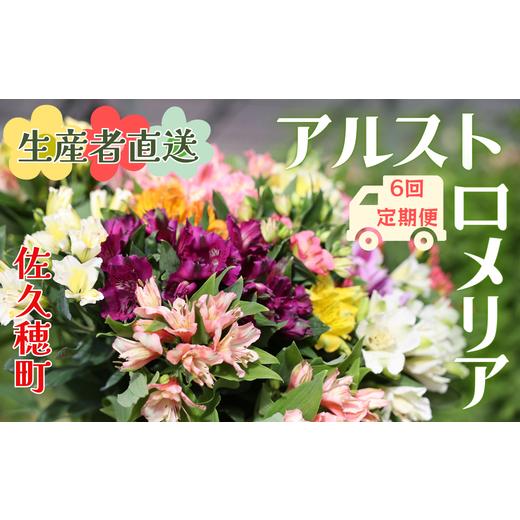 ふるさと納税 雑貨・日用品 花 長野県 佐久穂町 定期便6回便 切り花 アルストロメリア 生花・多少の茎曲がり有 花丈70cm・35本前後 (KS-T506) 定期便6回…