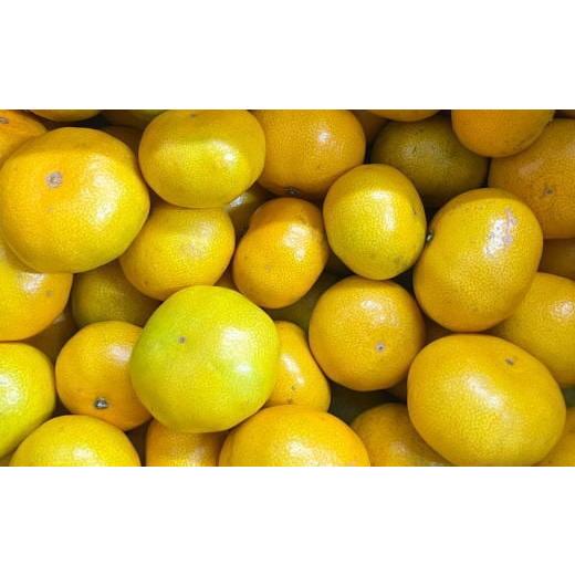 ふるさと納税 果物類 みかん 和歌山県 美浜町 有田産極早生みかん約5kg(サイズ混合)