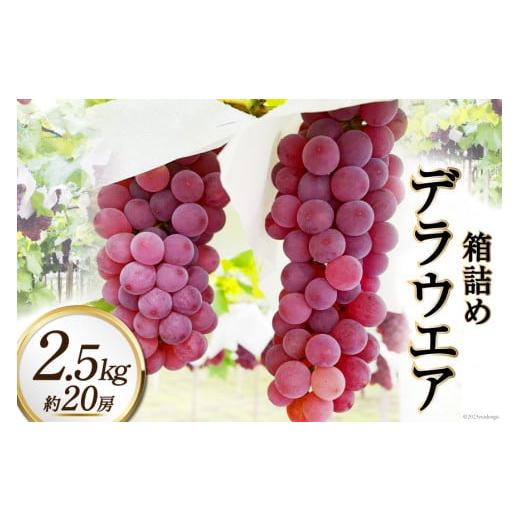 ふるさと納税 ぶどう 山梨県 韮崎市 2026年発送 ぶどう デラウエア 2.5kg 約 20房 箱詰め 山梨 やまなし ブドウ 葡萄 2.5キロ 果物 フルーツ くだもの 山梨県…