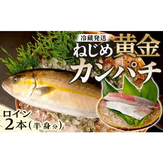 ふるさと納税 鹿児島県 南大隅町 [ねじめ黄金カンパチ]ロイン 片身分 ( 約400g × 2本 ) 配送日指定可能