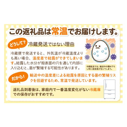 ふるさと納税 卵（鶏、烏骨鶏等） 秋田県 横手市 常温発送 《定期便6ヶ月》黄身の余韻 30個（業務用） 発送時期が選べる 6か月 6ヵ月 6カ月 6ケ月 卵 玉子 た…_2