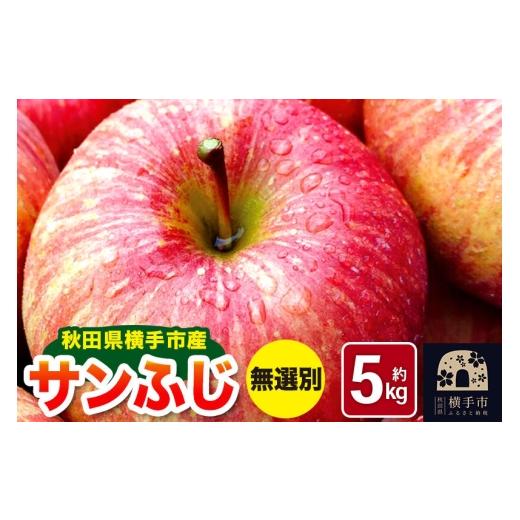 ふるさと納税 りんご 秋田県 横手市 [先行受付 12月上旬より順次発送]秋田県横手市産 サンふじ りんご 無選別 約5kg 先行予約 生きがい食材納入組合りんご …