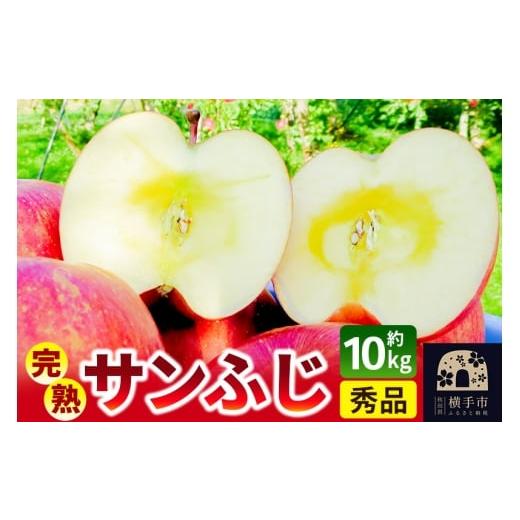 ふるさと納税 りんご 秋田県 横手市 完熟サンふじ秀品 約10kg(32〜40個入)りんご