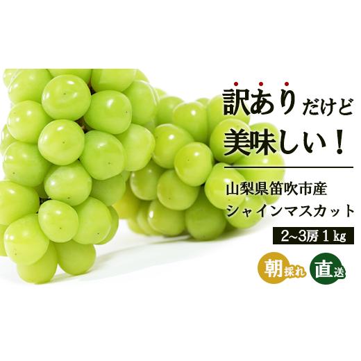 ふるさと納税 ぶどう マスカット 山梨県 笛吹市 2026年発送 先行予約 訳あり シャインマスカット 2〜3房 約1kg 154-027 | 不揃い ご自宅用 ご家庭用 フルーツ…
