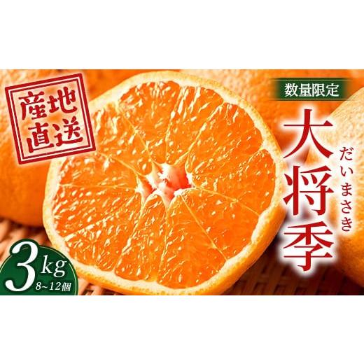 ふるさと納税 みかん・柑橘類 鹿児島県 南大隅町 数量限定 先行予約・2025年12月〜配送 大将季 約3kg (8〜12個) NT-504|だいまさき 柑橘 みかん 果物 新鮮 産…