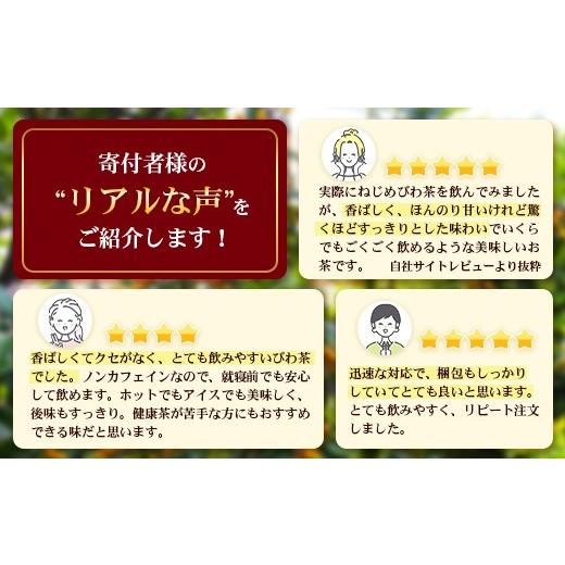 ふるさと納税 お茶類 鹿児島県 南大隅町 鹿児島県産 ねじめびわ茶 ボトル缶 3ケース 24本入り×3ケース ノンカフェイン TO-408 | 国産 お茶 健康茶 カロリーゼ…の画像