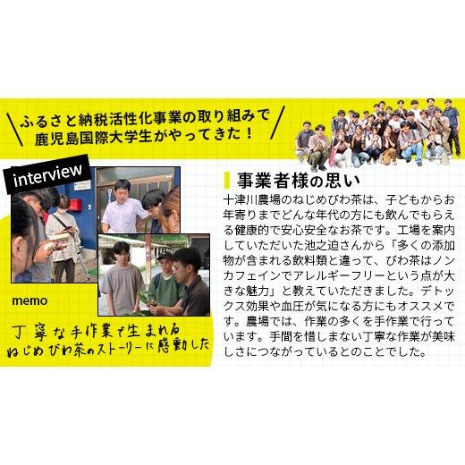 ふるさと納税 お茶類 鹿児島県 南大隅町 鹿児島県産 ねじめびわ茶 ボトル缶 3ケース 24本入り×3ケース ノンカフェイン TO-408 | 国産 お茶 健康茶 カロリーゼ…の画像