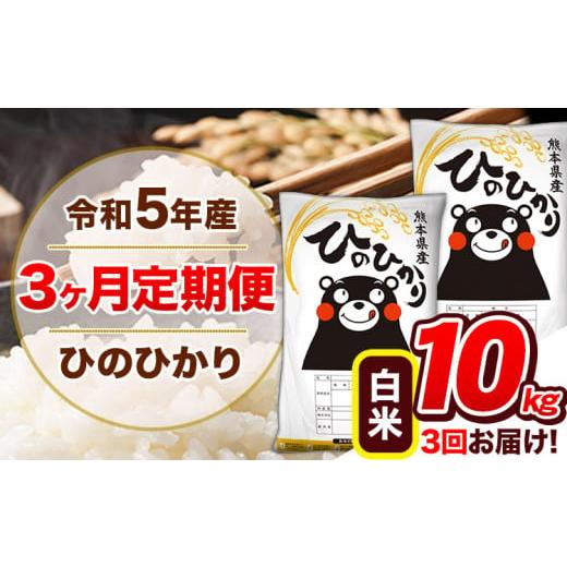 ふるさと納税 熊本県 玉東町 令和5年産 ひのひかり [3ヶ月定期便] 白米 [お申込み月の翌月から出荷開始] 10kg (5kg×2袋) 計3回お届け 熊本県産 単一原料…