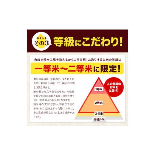 ふるさと納税 熊本県 玉東町 令和5年産 森のくまさん 【3ヶ月定期便】 無洗米 《お申し込み月の翌月から出荷開始》 10kg (5kg×2袋) 計3回お届け 熊本県産 単…｜furusatochoice｜06