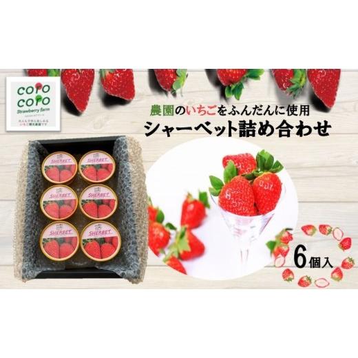 ふるさと納税 アイス・ヨーグルト シャーベット 埼玉県 松伏町 シャーベット詰合せ(6個) スイーツ お菓子 デザート 食後 おやつ ひんやり