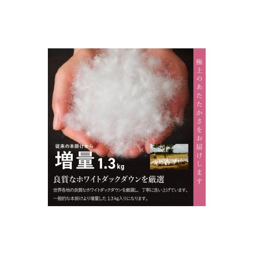 ふるさと納税 タオル・寝具 掛け布団 山梨県 富士吉田市 数量限定 緊急支援品　訳あり 9月発送 甲州羽毛ふとん　本掛けふとん増量1.3kg （シングル／お任せ柄…_3