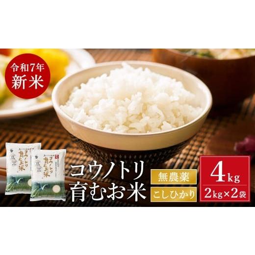ふるさと納税 米 コシヒカリ 兵庫県 豊岡市 令和7年産 新米 無農薬 米 4kg コウノトリ育むお米 新米 但馬産 こしひかり 兵庫県産(2kg×2袋)(94-001)無農薬 …