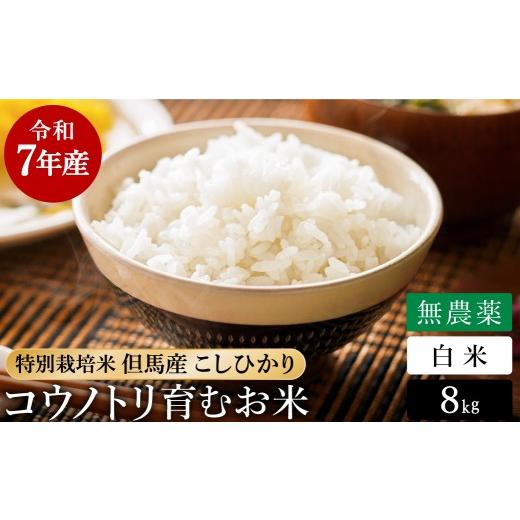 令和7年産 コシヒカリ 兵庫県 但馬 豊岡産 20kg(白米、10kg×2袋) 楽天市場】令和7年産 コシヒカリ 10kg 兵庫県但馬産 お米 特A 米 10kg