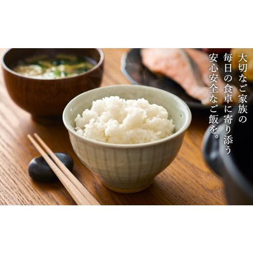 プログレP様 令和7年産 コシヒカリ 兵庫県 但馬 豊岡産 20kg(玄米