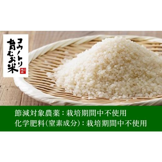 ふるさと納税 米 コシヒカリ 兵庫県 豊岡市 令和7年産 無農薬 白米 10kg コウノトリ育むお米 但馬産 こしひかり 兵庫県産(5kg×2袋)（94-002）無農薬 お米 10…