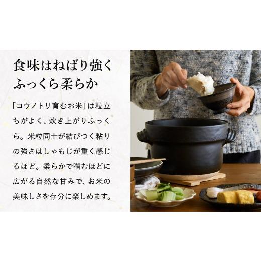 ふるさと納税 米 コシヒカリ 兵庫県 豊岡市 令和7年産 無農薬 白米 10kg コウノトリ育むお米 但馬産 こしひかり 兵庫県産(5kg×2袋)（94-002）無農薬 お米 10…