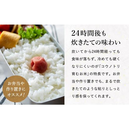 ふるさと納税 米 コシヒカリ 兵庫県 豊岡市 令和7年産 無農薬 白米 10kg コウノトリ育むお米 但馬産 こしひかり 兵庫県産(5kg×2袋)（94-002）無農薬 お米 10…