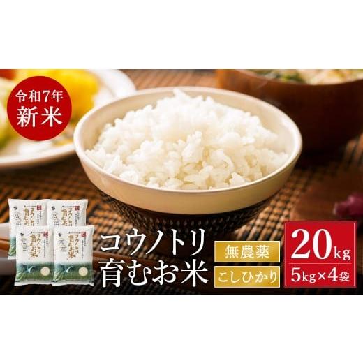 ふるさと納税 米 コシヒカリ 兵庫県 豊岡市 令和7年産 新米 無農薬 米 20kg コウノトリ育むお米 新米 但馬産 こしひかり 兵庫県産(5kg×4袋)(94-002)無農薬…