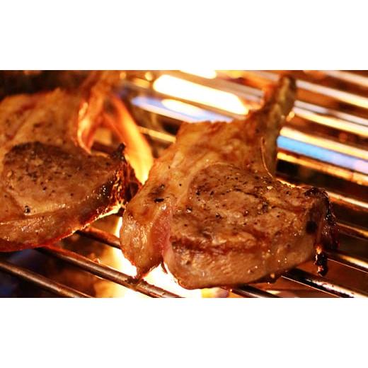 ふるさと納税 宿泊券 ペンション・コテージ 静岡県 浜松市 宿泊券 ジャグジー付き レイク グランピング（ペア 宿泊券・1泊2食付） No.5786-5107 |  | 05