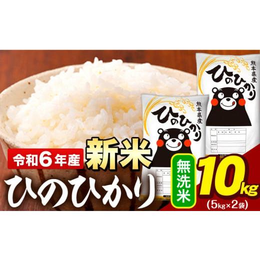 ふるさと納税 熊本県 大津町 令和5年産 ひのひかり 無洗米 10kg [7-14営業日以内に出荷予定(土日祝除く)] 5kg×2袋 熊本県産 米 精米 ひの 大津町 無洗米