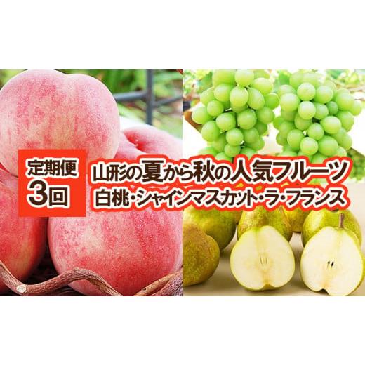 ふるさと納税 もも 山形県 山形市 定期便3回 山形の夏から秋の人気フルーツ(白桃・シャインマスカット・ラフランス) 令和8年産先行予約 FS25-687 くだもの 果…