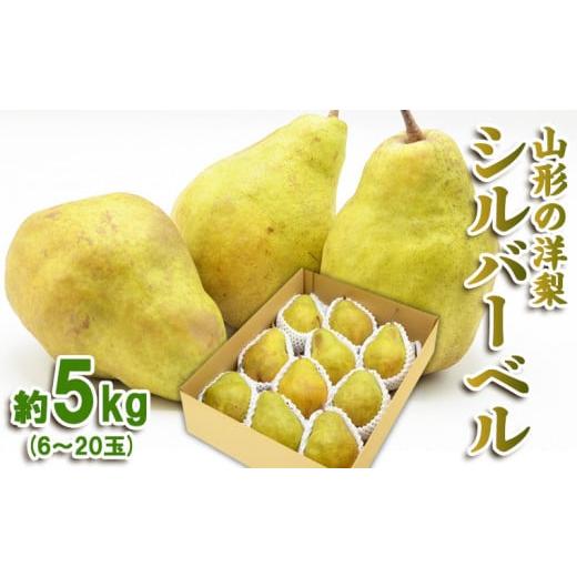 ふるさと納税 梨 山形県 山形市 山形の洋梨 シルバーベル 秀品 約5kg(6〜20玉) 令和8年産先行予約 FS25-684