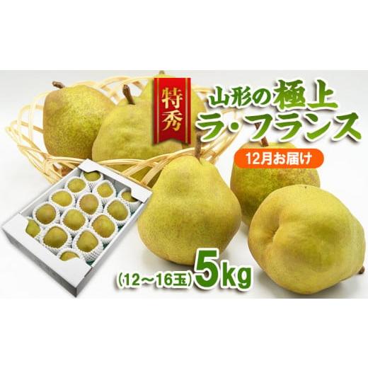 ふるさと納税 梨 山形県 山形市 特秀 山形の極上 ラフランス 特秀品 約5kg(12〜16玉) 12月お届け FZ23-313 12月お届け